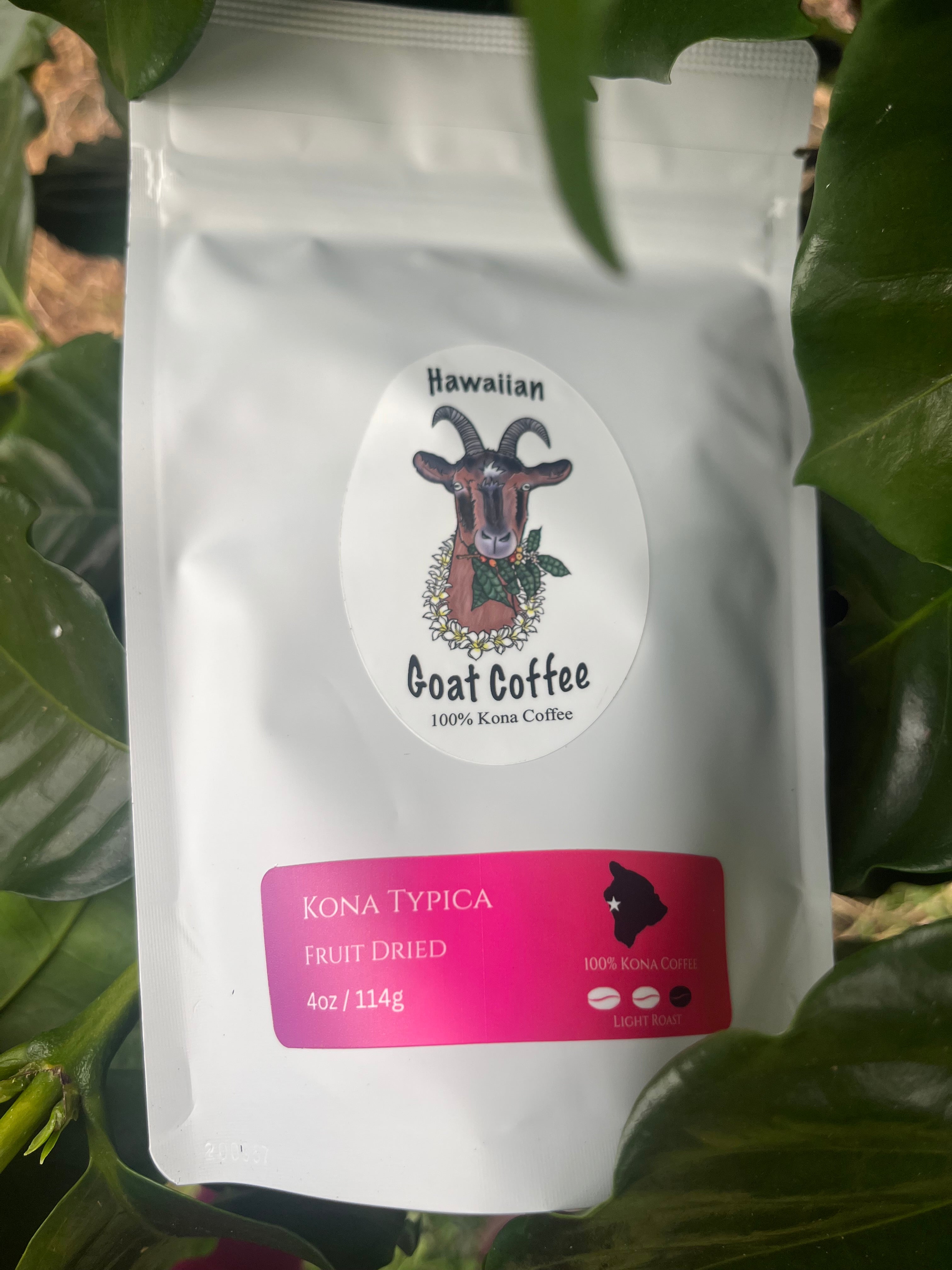 Kona Typica - Light Roast - Fruit Dried – Namvar Estates