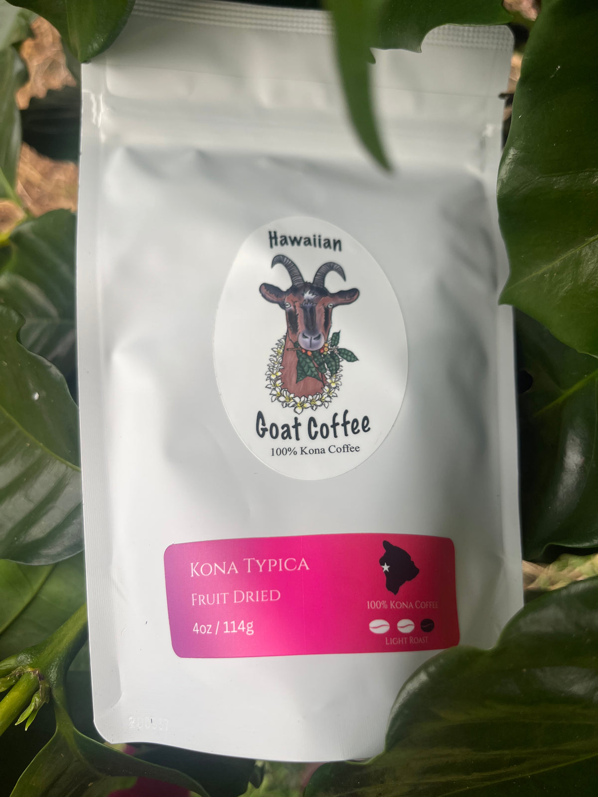 Kona Typica - Light Roast - Fruit Dried
