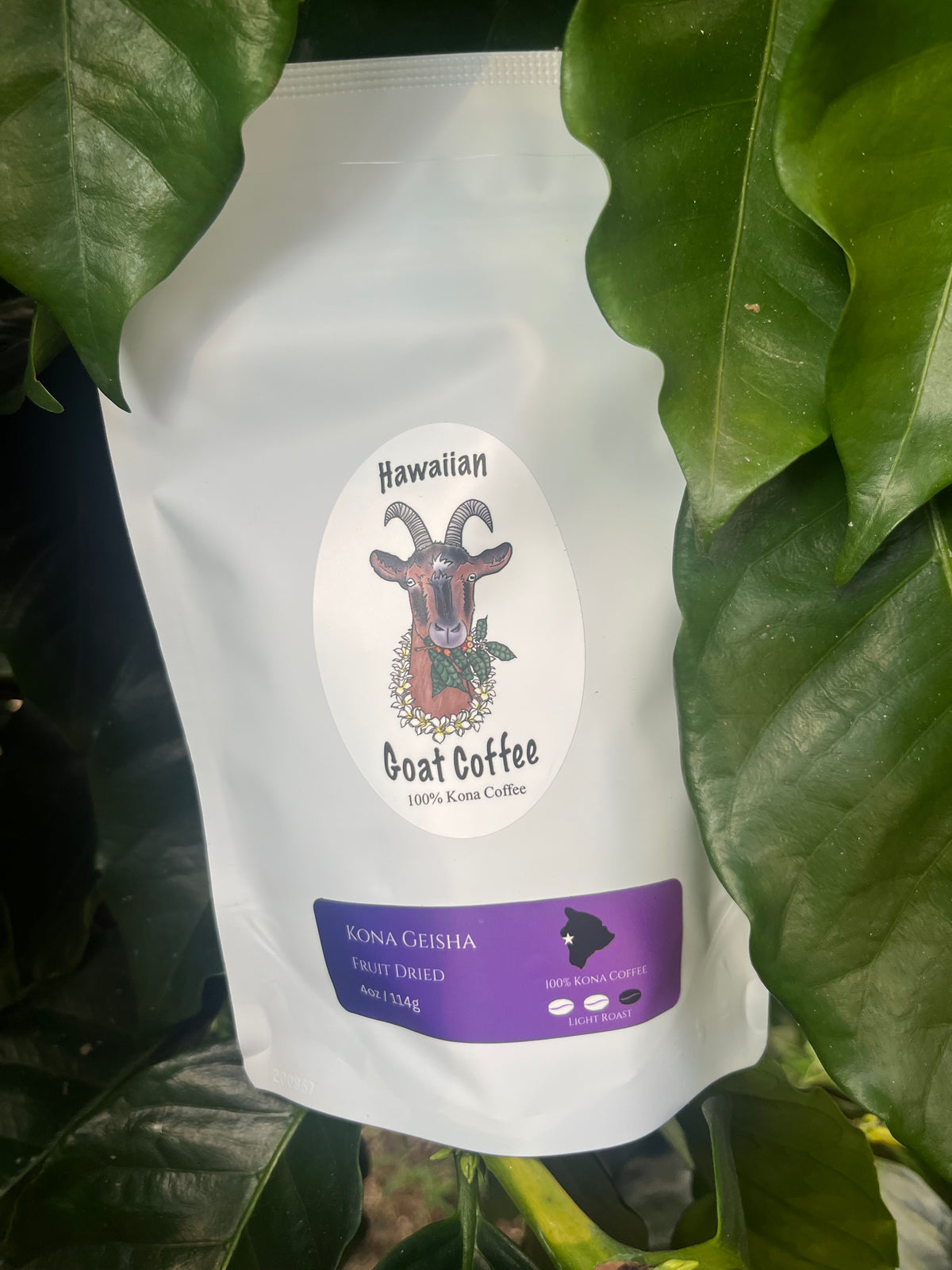 Kona Geisha - Fruit Dried
