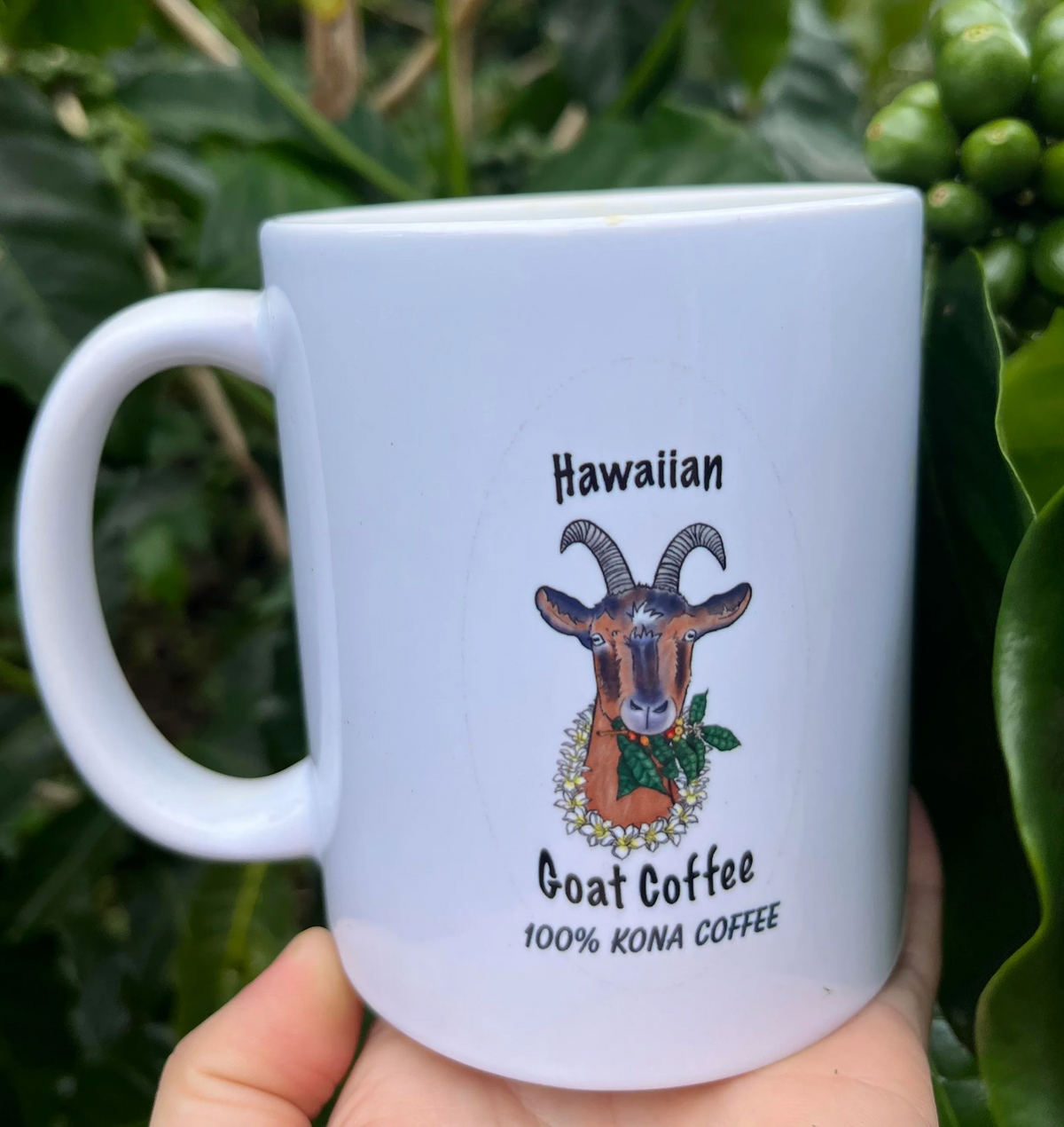 11oz Hawaiian Goat Coffee Logo Mug